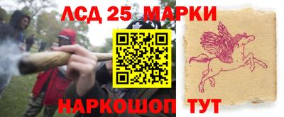 индика Нальчик