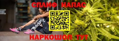 гидропоника Новодвинск