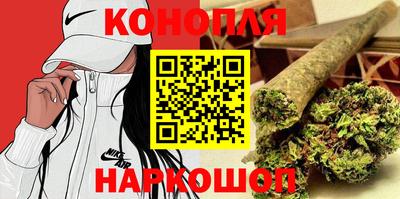 индика Нальчик