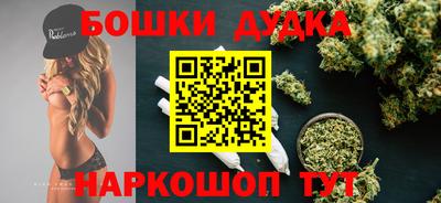 спиды Новозыбков