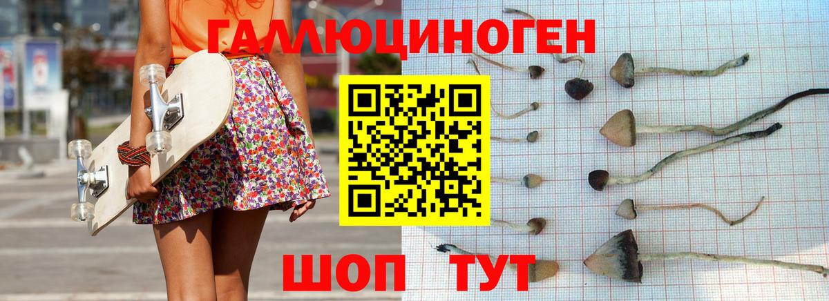 Галлюциногенные грибы мухоморы  Вход с VPN  Фрязино  Галлюциногенные грибы прущие грибы 